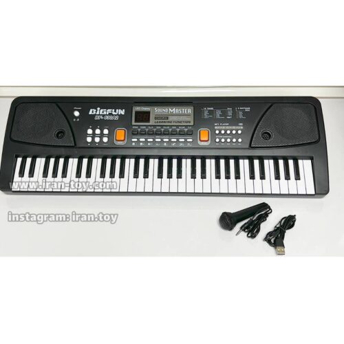 ارگ 61 کلید بیگ فان