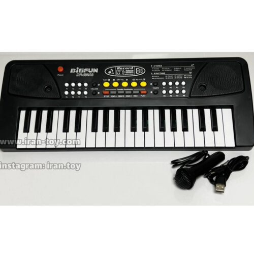 ارگ 37 کلید بیگ فان