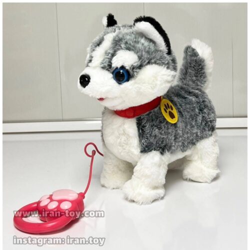 سگ قلاده دار هاسکی