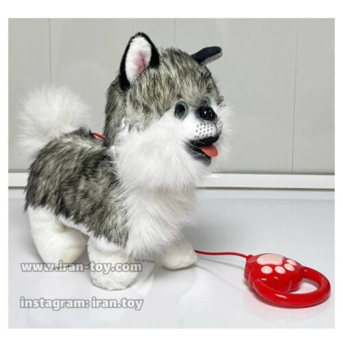 سگ قلاده دار طوسی