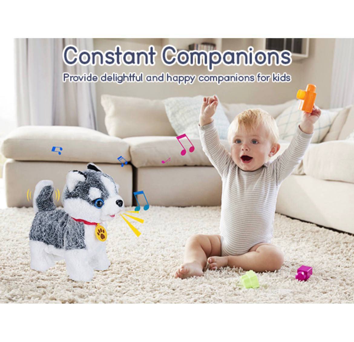 سگ قلاده دار هاسکی - تصویر 4