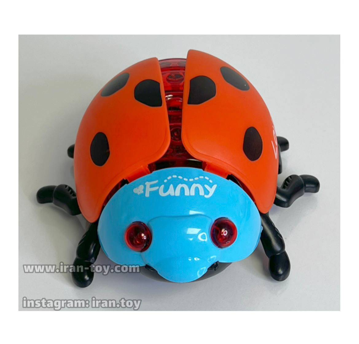 کفشدوزک موزیکال - تصویر 4