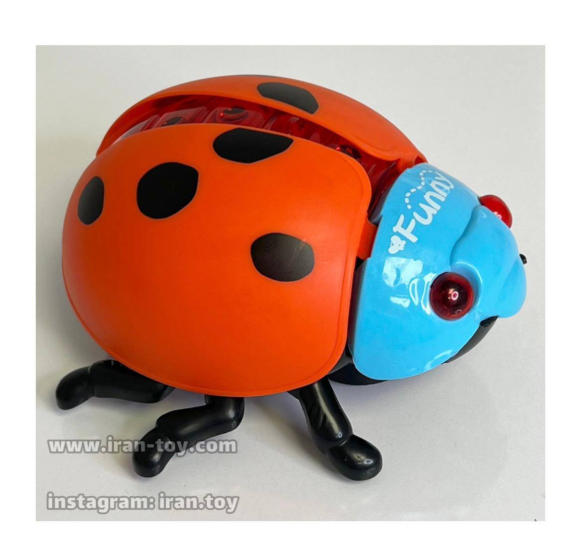 کفشدوزک موزیکال - تصویر 3