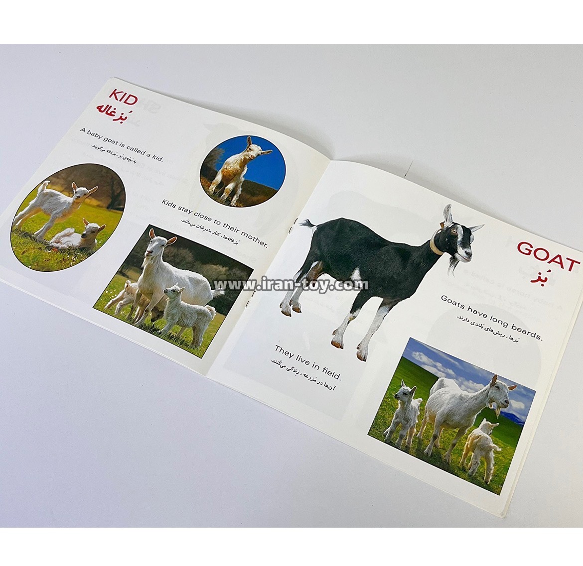 کتاب تصویری حیوانات مزرعه «۱» - تصویر 3