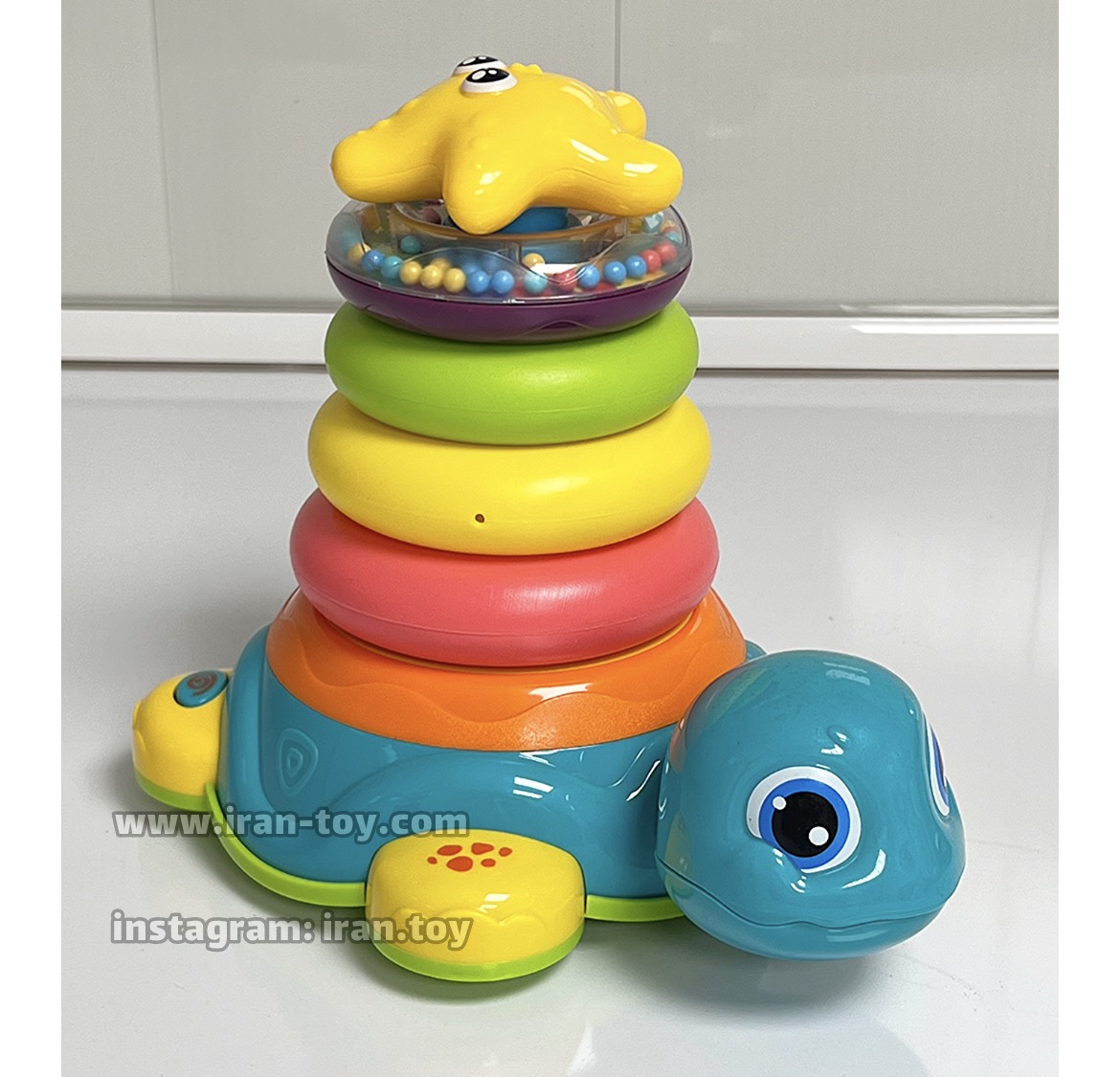 حلقه هوش لاک پشت راه رو - تصویر 9